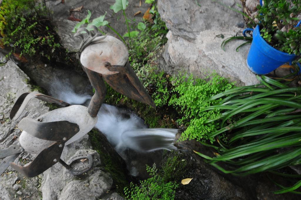 Vila Alojamiento Rural El Brazal Lanjarón Exteriér fotografie