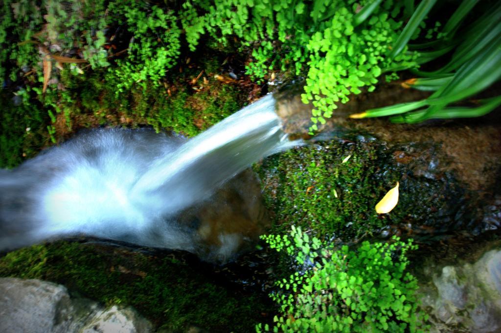 Vila Alojamiento Rural El Brazal Lanjarón Exteriér fotografie